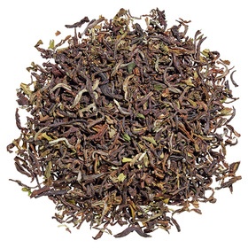 Darjeeling Steinthal
