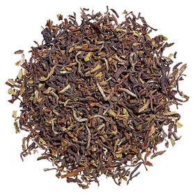 Nepal Guranse