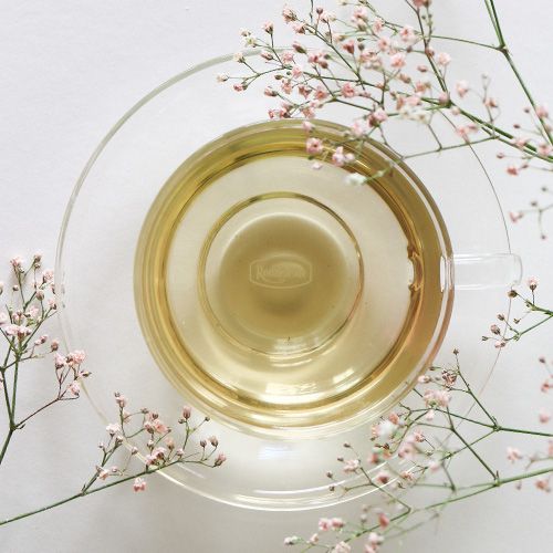 Glastasse mit weißem Tee auf einer Glas-Untertasse, dekoriert mit rosa Gipskraut-Blüten auf hellem Hintergrund.